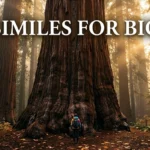 Similes for Big