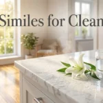 Similes for Clean