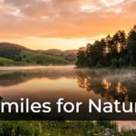 Similes for Nature